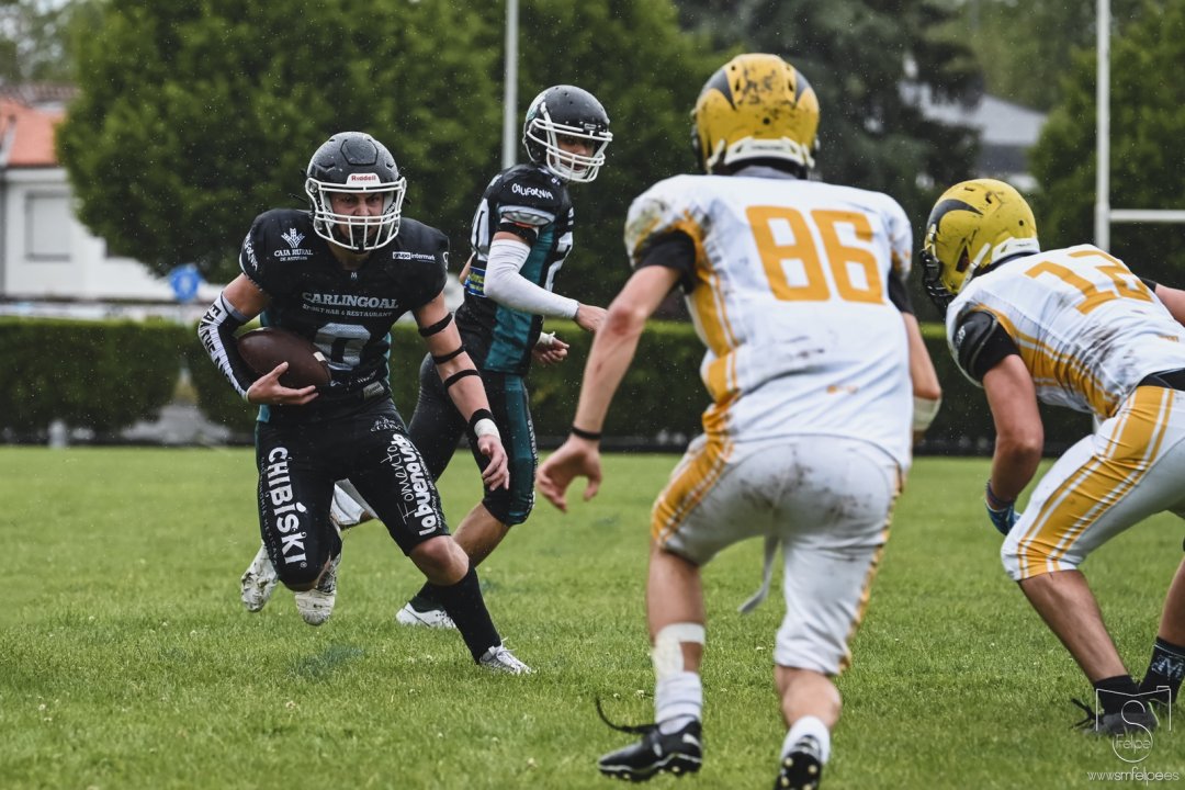 008_fsm_goldbats_001